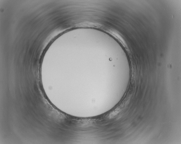 X0000060811000200511241931