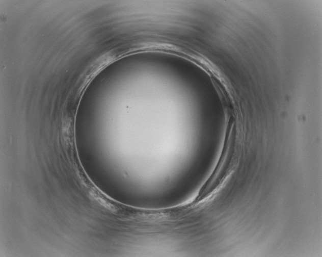 X0000060811001200511241931