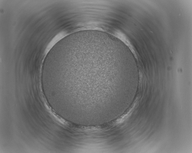 X0000060811002200511241931