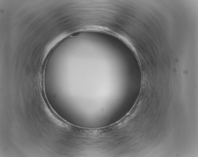 X0000060811003200511241931