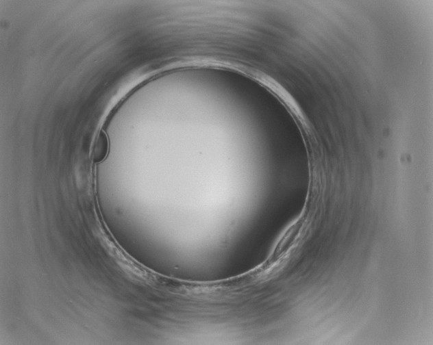 X0000060811004200511241931