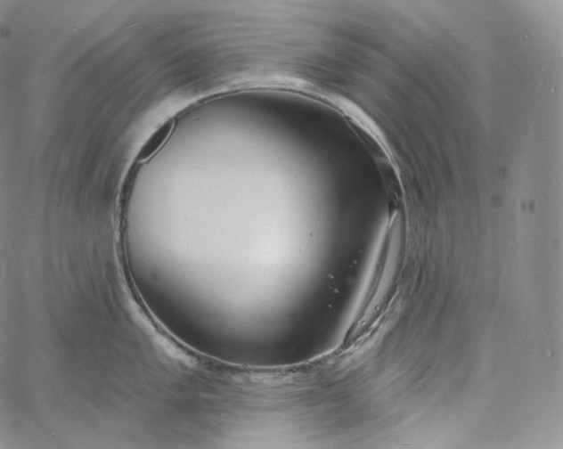 X0000060811005200511241931