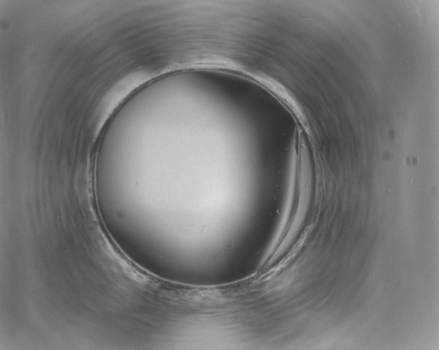 X0000060811006200511241931