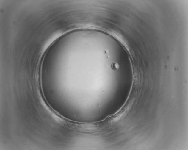 X0000060811007200511241931