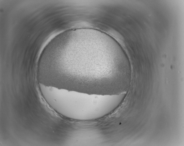 X0000060811008200511241931