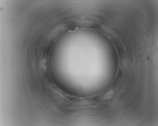 X0000060811010200511241930