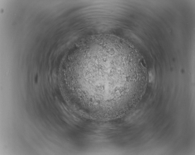 X0000060811011200511241930