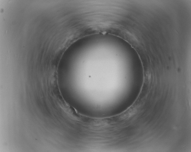 X0000060811012200511241930