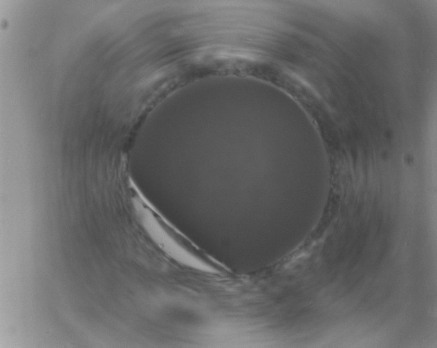 X0000060811013200511241930