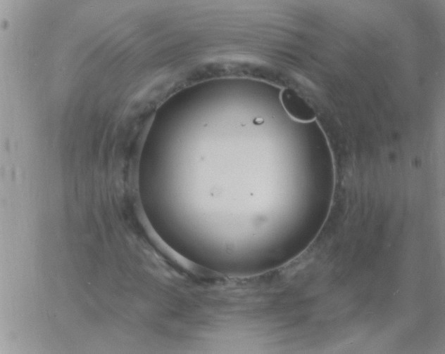 X0000060811014200511241930