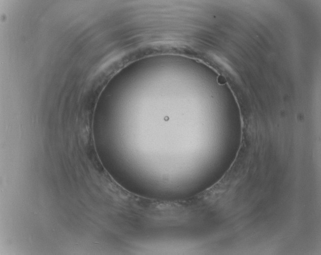 X0000060811015200511241930