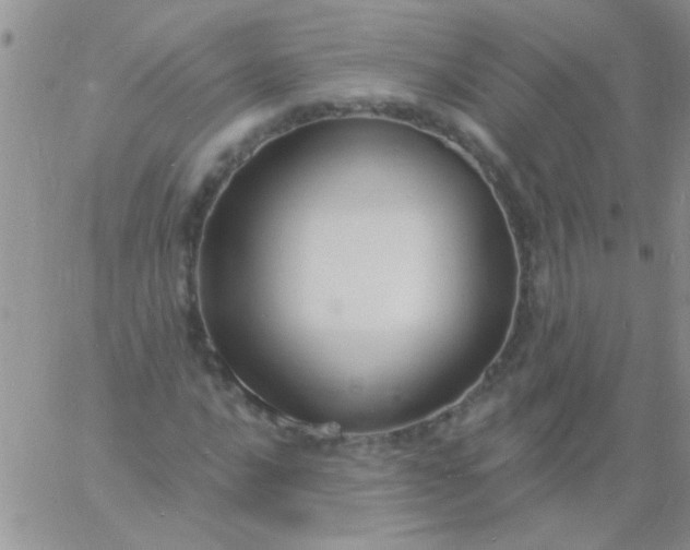 X0000060811016200511241930