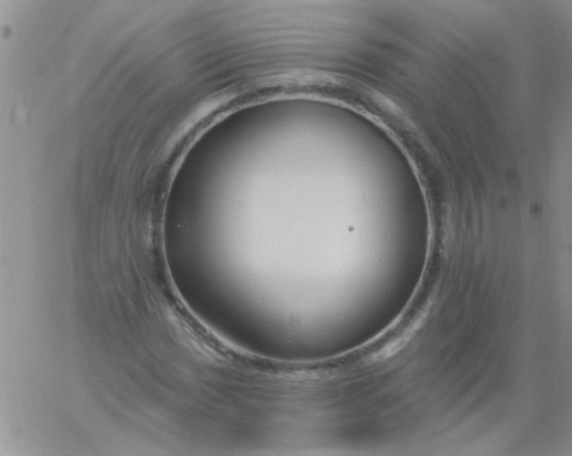 X0000060811017200511241930