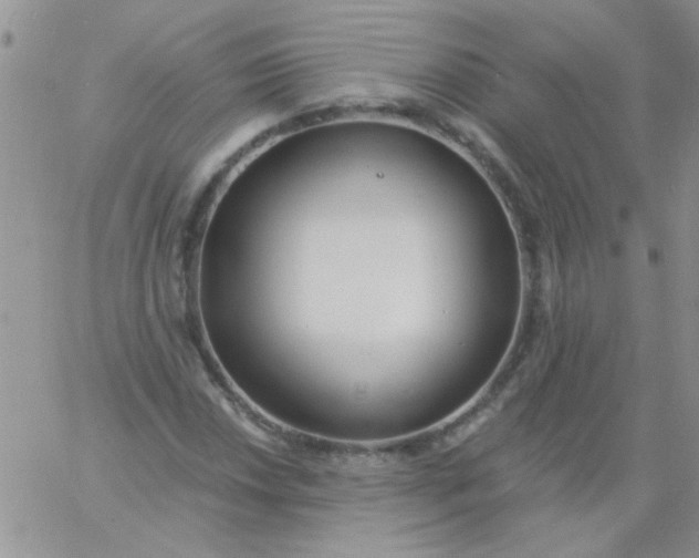 X0000060811018200511241930