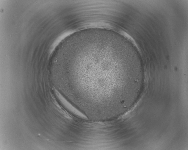 X0000060811019200511241930