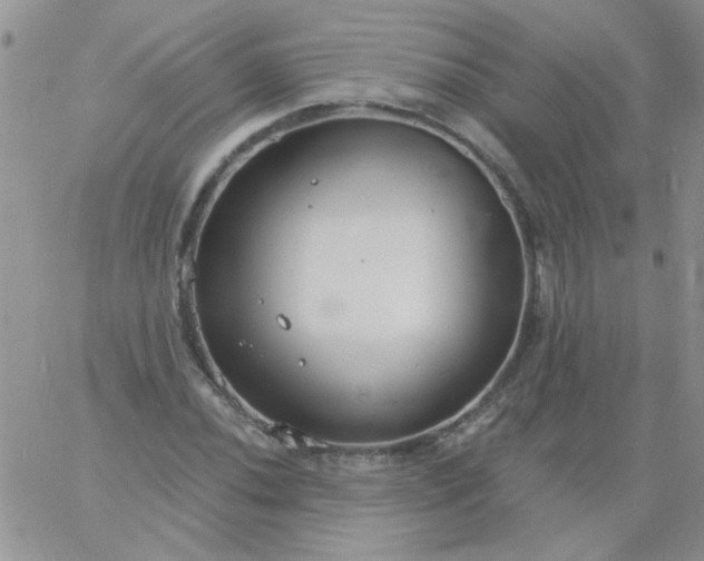 X0000060811020200511241930