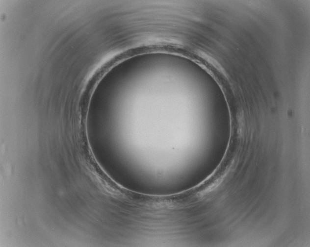 X0000060811021200511241930