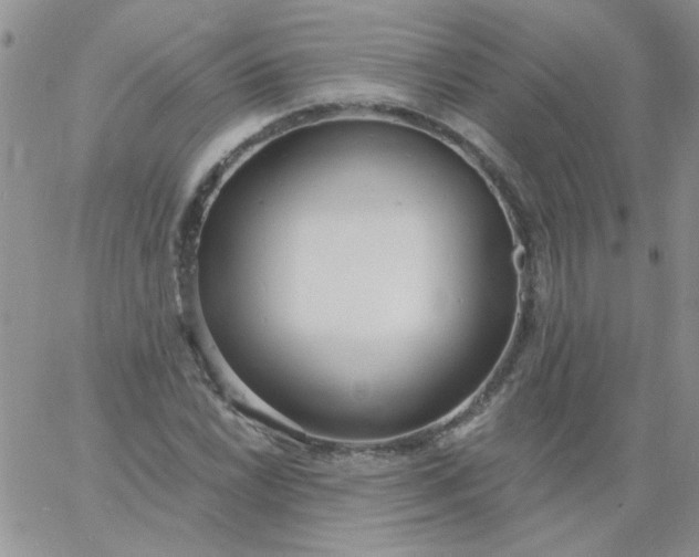 X0000060811022200511241930