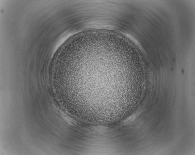 X0000060811023200511241930