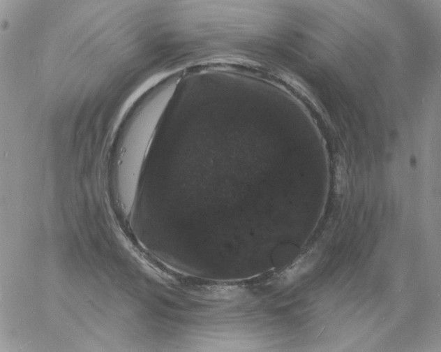 X0000060811024200511241930