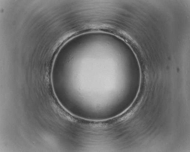 X0000060811025200511241930