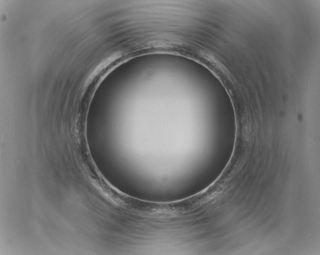 X0000060811026200511241930