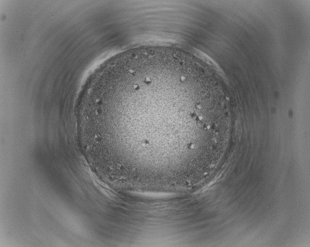 X0000060811027200511241930