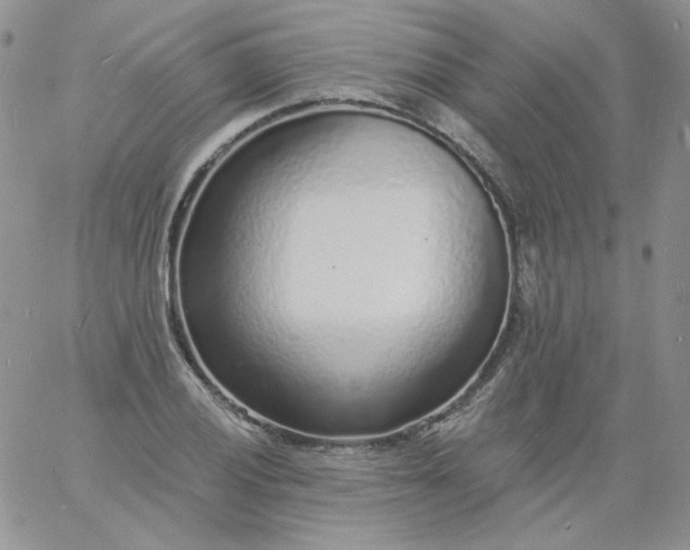 X0000060811028200511241930