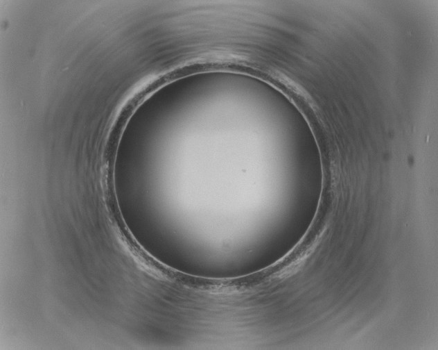 X0000060811029200511241930