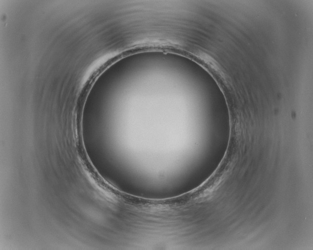 X0000060811030200511241930