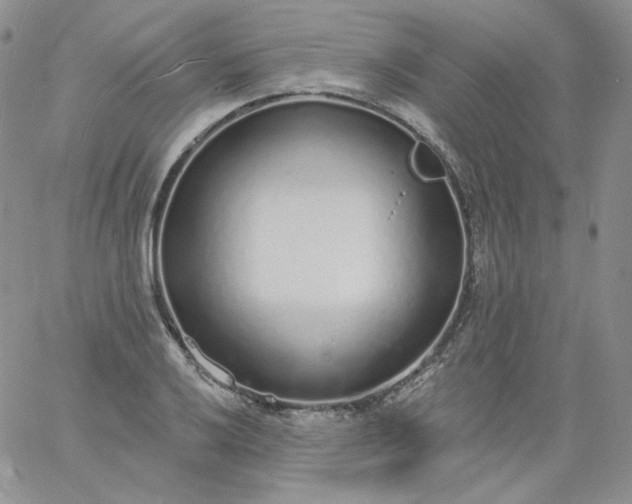 X0000060811032200511241930