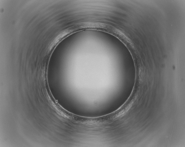 X0000060811033200511241930