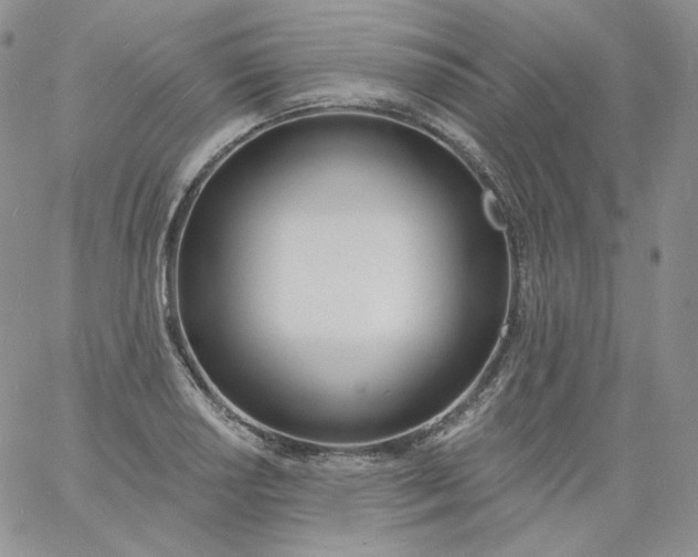 X0000060811034200511241930