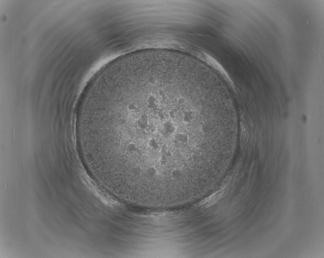 X0000060811035200511241930