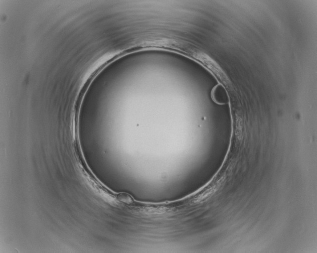 X0000060811036200511241930