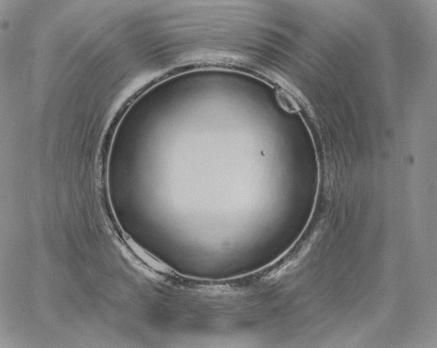 X0000060811037200511241930