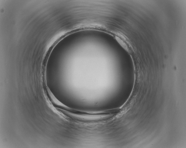 X0000060811038200511241930