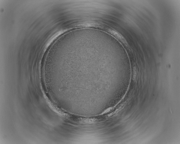 X0000060811039200511241930