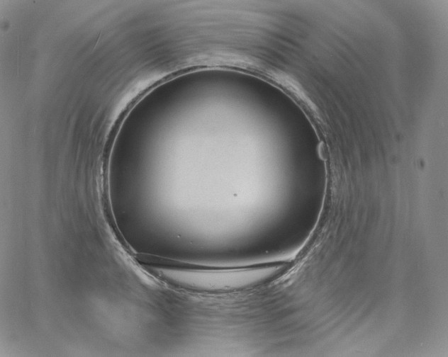 X0000060811040200511241930