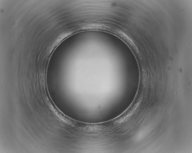 X0000060811041200511241930