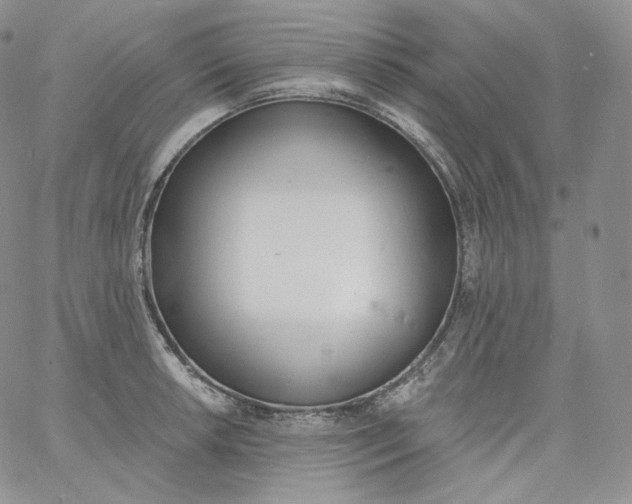 X0000060811042200511241930