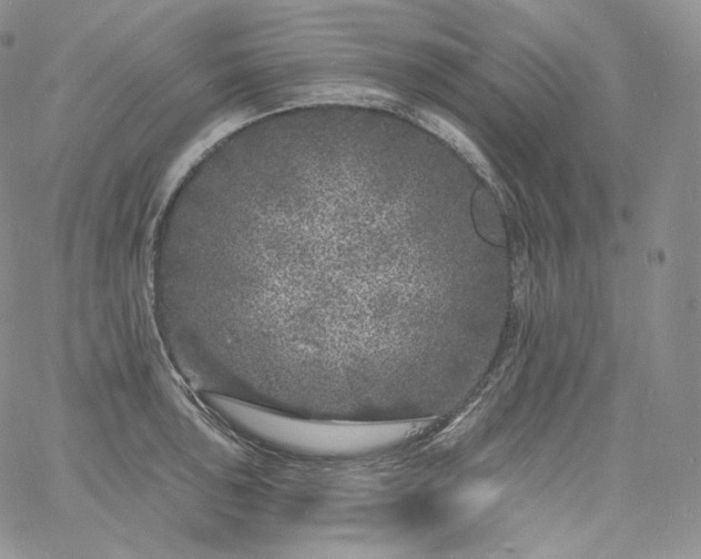 X0000060811043200511241930