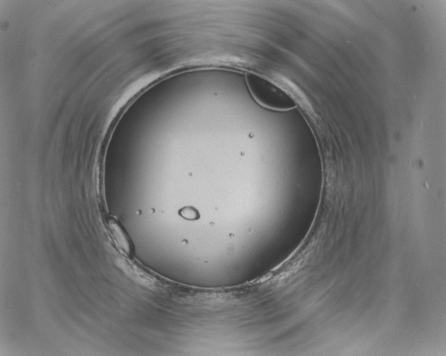 X0000060811044200511241930