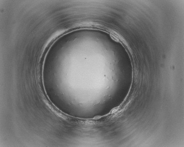 X0000060811045200511241930