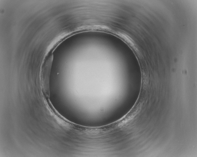 X0000060811046200511241930