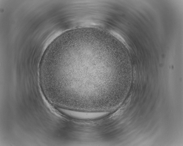 X0000060811047200511241930