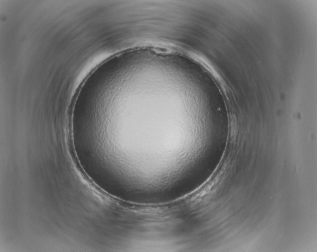 X0000060811048200511241930