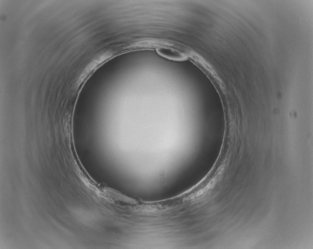 X0000060811049200511241930