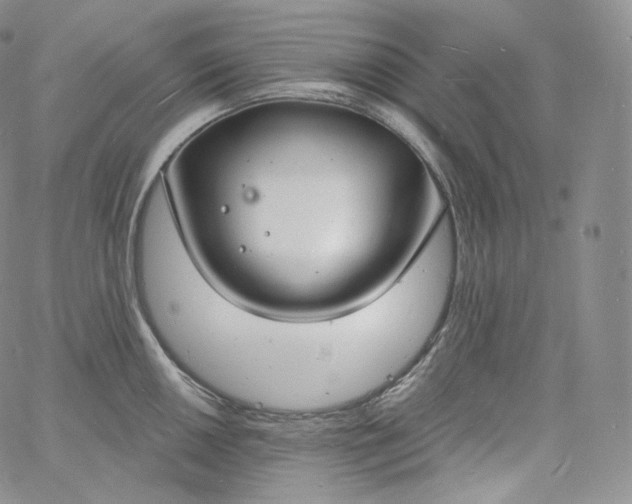 X0000060811050200511241930