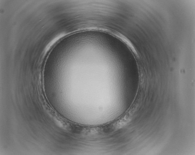 X0000060811051200511241930